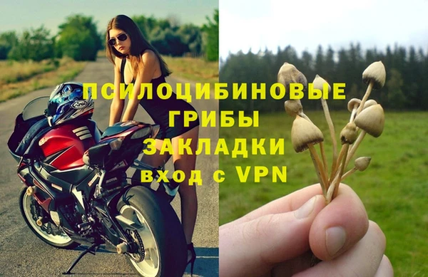 МДПВ Богородицк