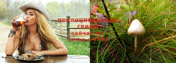 МДПВ Богородицк