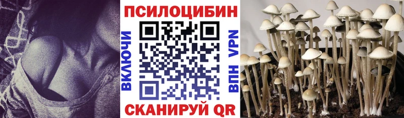 Псилоцибиновые грибы мухоморы Могоча
